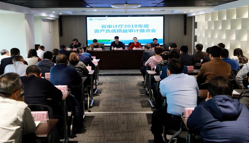 省审计厅对永利yl65335集团2018年度资产欠债损益审计撤点会召开