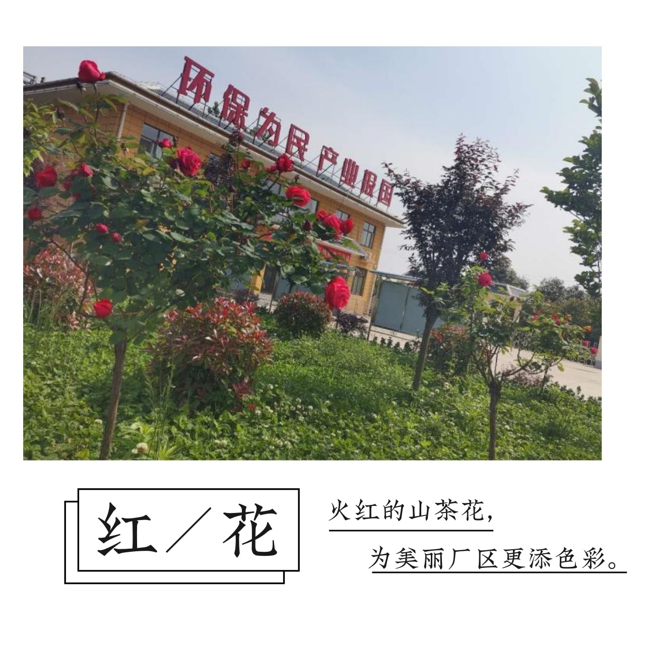 中国·永利yl65335(集团)有限公司-官方网站