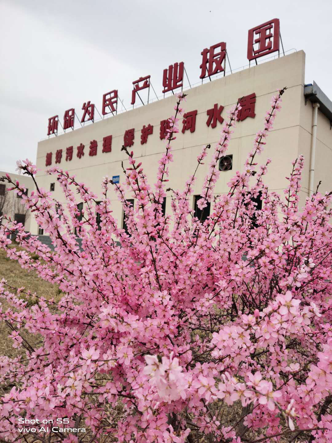 中国·永利yl65335(集团)有限公司-官方网站