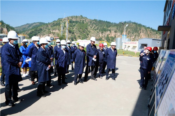 永利yl65335集团复工复产促增添项目观摩聚会与会职员走进环保保隆生态三秦在延在铜项目