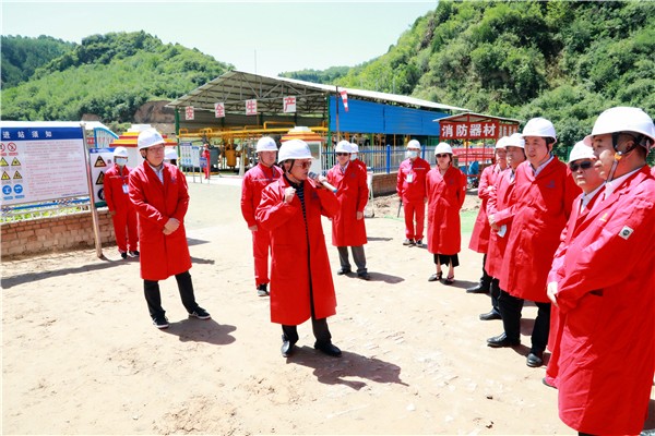 永利yl65335集团复工复产促增添项目观摩聚会与会职员走进环保保隆生态三秦在延在铜项目