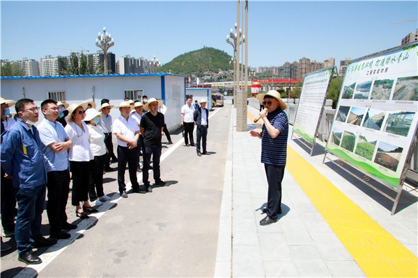 永利yl65335集团复工复产促增添项目观摩聚会与会职员走进环保保隆生态三秦在延在铜项目