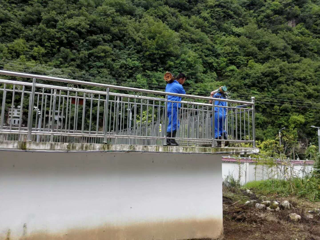 这个端午节，水情形人这么过（二）