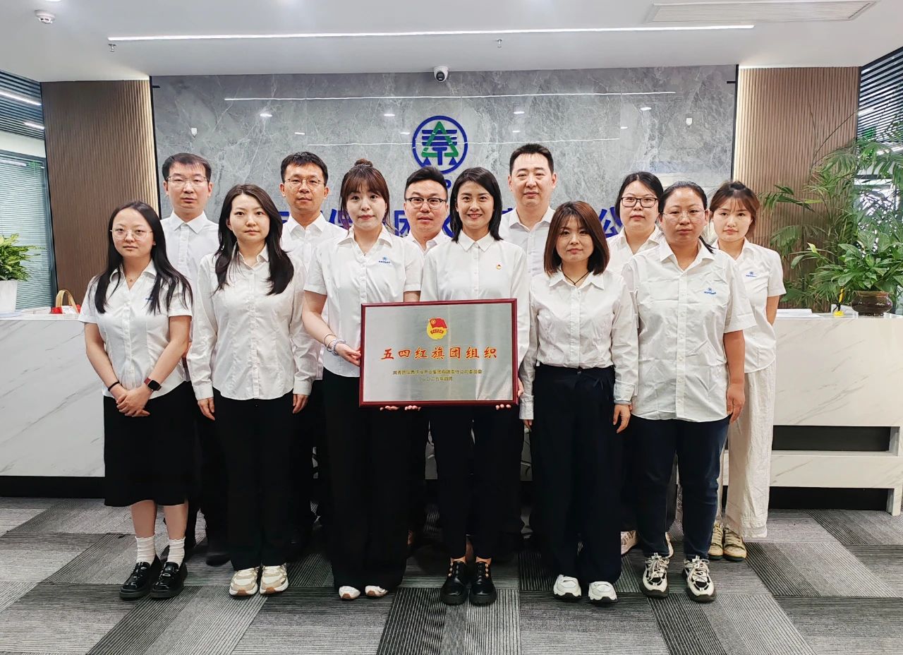 永利yl65335集团“五四红旗团组织”｜水情形公司：青春奋进正其时 不负春光争朝夕